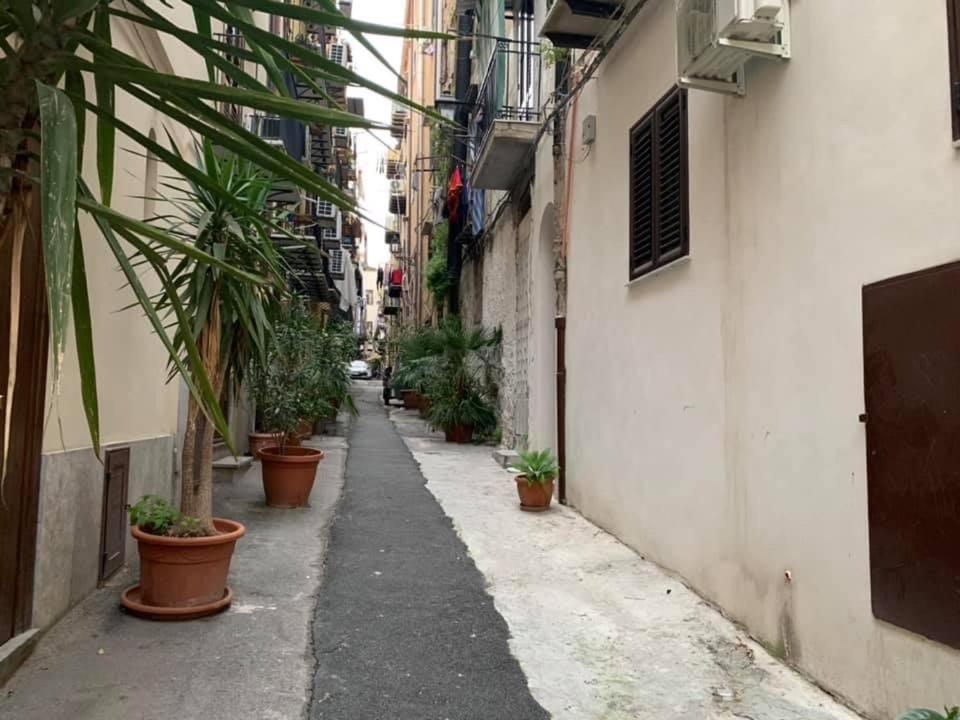 Il Panaro Apartment